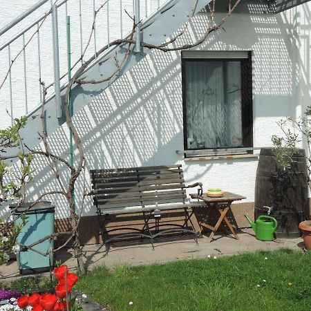 Apartement Am Kirschbaum Mommenheim Екстер'єр фото