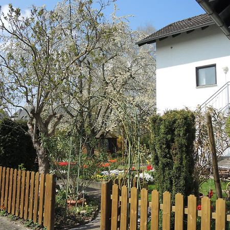 Apartement Am Kirschbaum Mommenheim Екстер'єр фото