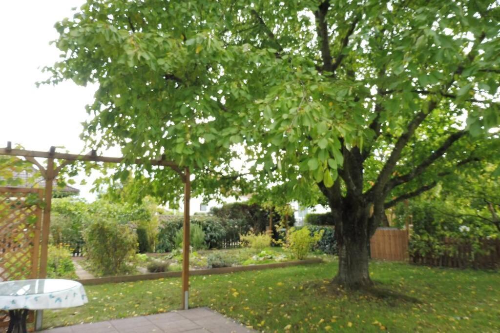 Apartement Am Kirschbaum Mommenheim Екстер'єр фото