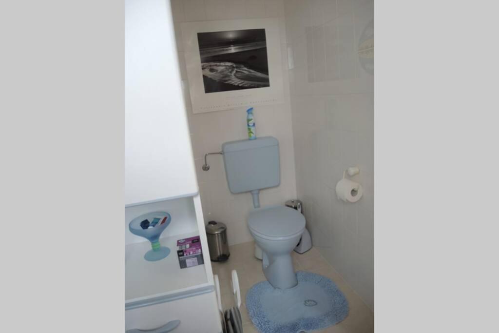 Apartement Am Kirschbaum Mommenheim Екстер'єр фото