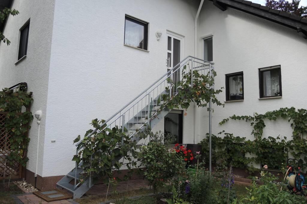 Apartement Am Kirschbaum Mommenheim Екстер'єр фото