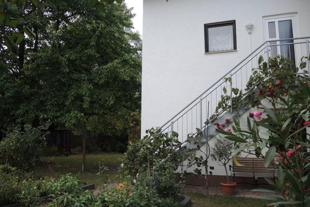 Apartement Am Kirschbaum Mommenheim Екстер'єр фото