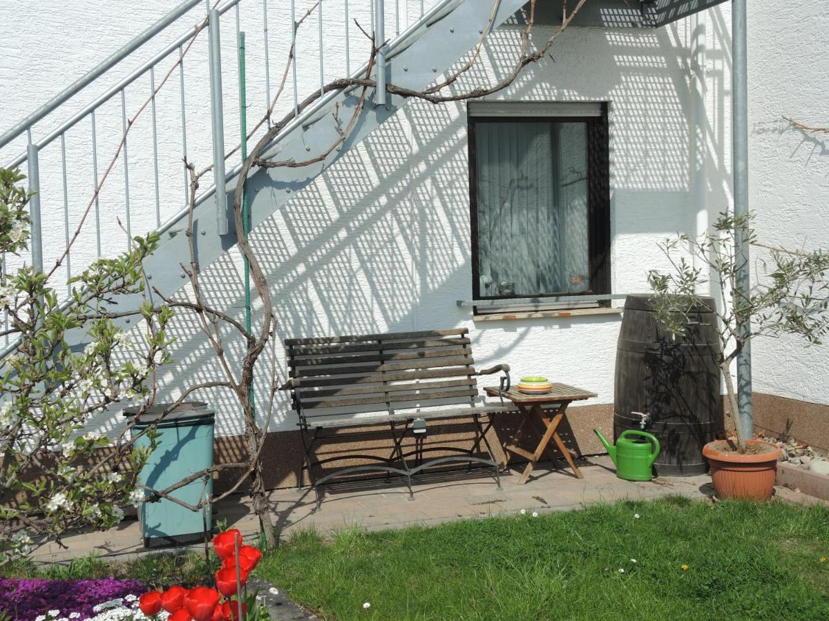 Apartement Am Kirschbaum Mommenheim Екстер'єр фото